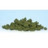 WFC182 - Light Green Clump Foliage(Bag)