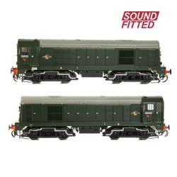 Class 20/0 Disc Headcode & Tablet Catcher D8032 BR Green (Late Crest)