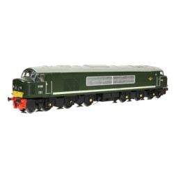 Class 46 Centre Headcode D138 BR Green (Small Yellow Panels)