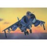1236 - SEA HARRIER FRS.1 FALKLANDS