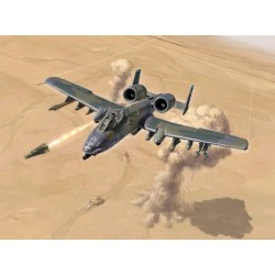 1376 - A-10 GULF WAR