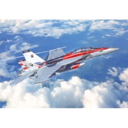 2823 - F/A-18F Super Hornet...
