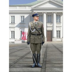 ICM16010 - Polish Regiment...