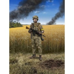 ICM16104 - Soldier of the...