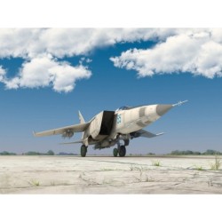 ICM48902 - MiG-25 RB,...