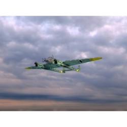 ICM72293 - FW 189A-1, WWII...