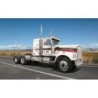 3915 - CLASSIC WESTERN STAR