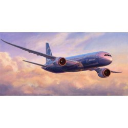 Z7021 - Boeing 787-9