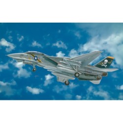 2667 - F-14A TOMCAT