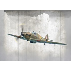 2838 - Hurricane Mk 1 Aces