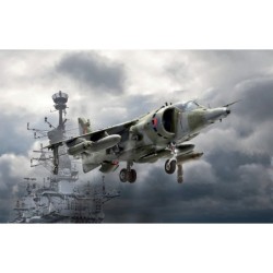 1401 - HARRIER GR.3 "FALKLAND"