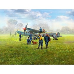 ICMDS4802 - WWII RAF...