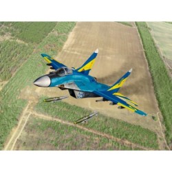 ICM72144 - MiG-29 of...