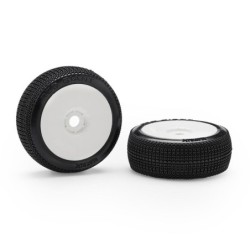 M.RDGSS-GL - Matrix Red...