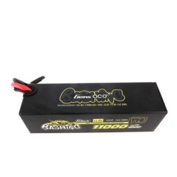 GE5-11000-4C5GT - GensAce...